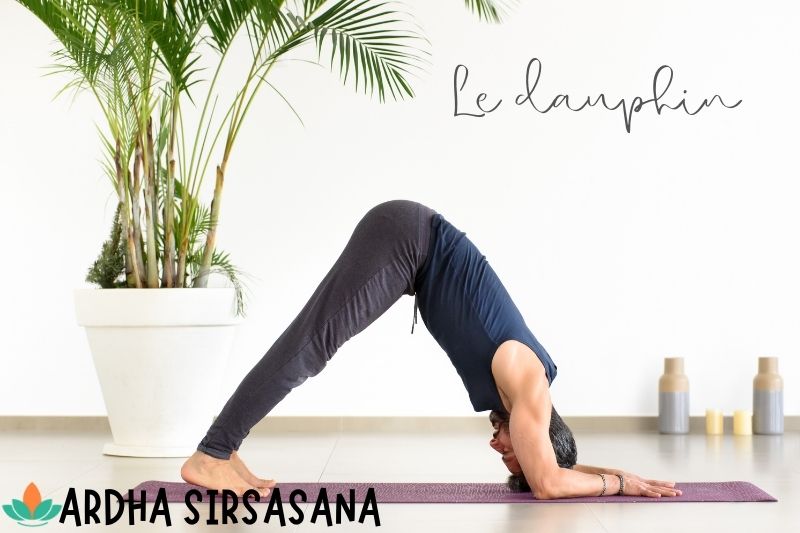 Sirsasana le dauphin yoga