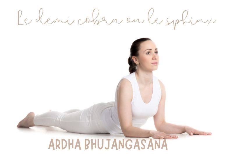 Ardha bhujangasana demi cobra posture yoga facile