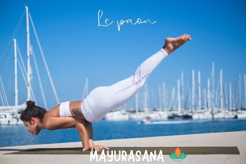 Mayurasana