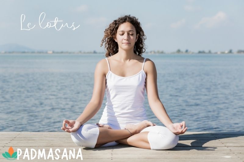 PADMASANA le lotus