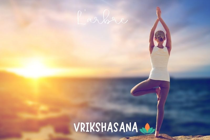 VRIKSHASANA l arbre yoga