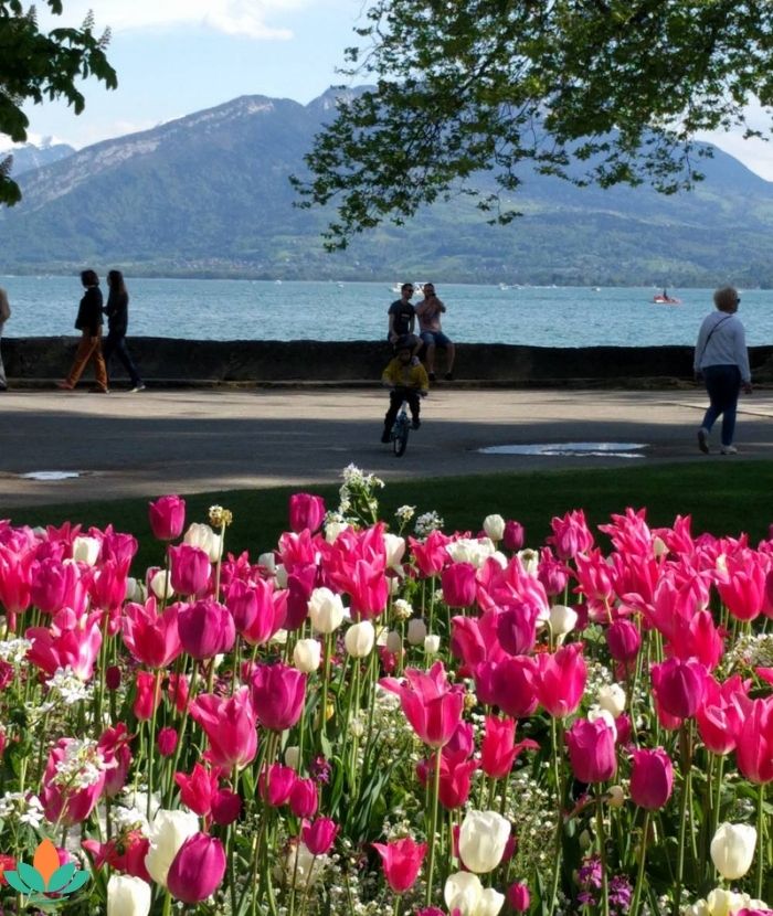 yoga annecy 